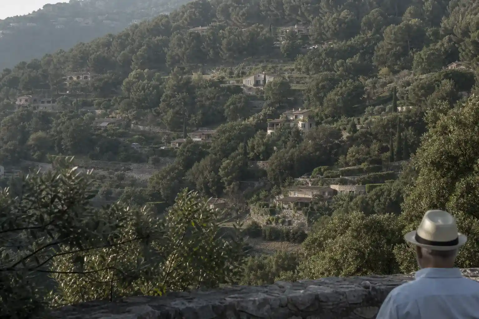 Coteau boisé des Alpes-Maritimes parsemé de maisons individuelles séparées par des haies et des murs bas