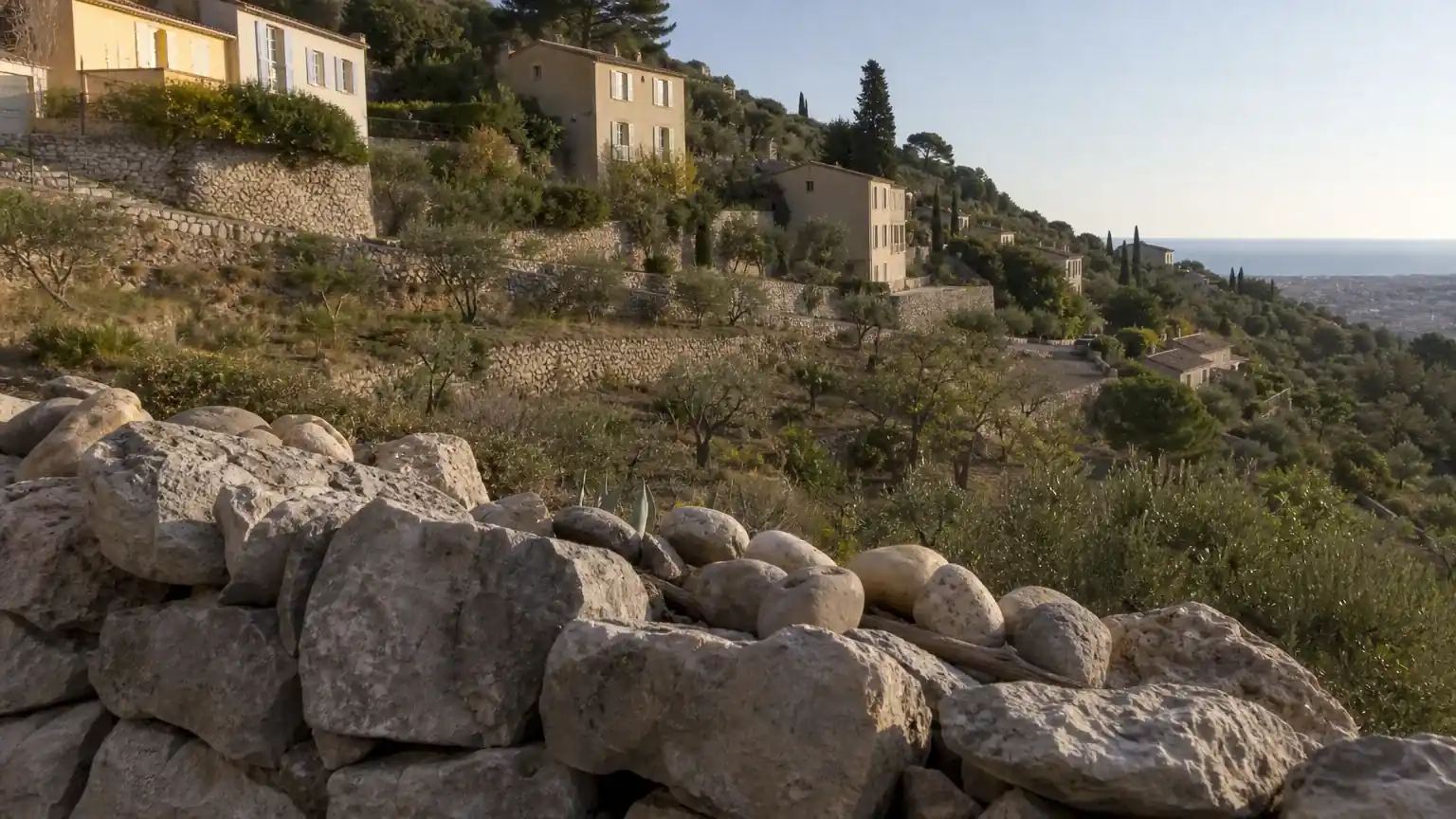 Coteau habité au-dessus de Nice au petit matin, villas claires étagées sur des terrasses soutenues par des murs de pierre sèche