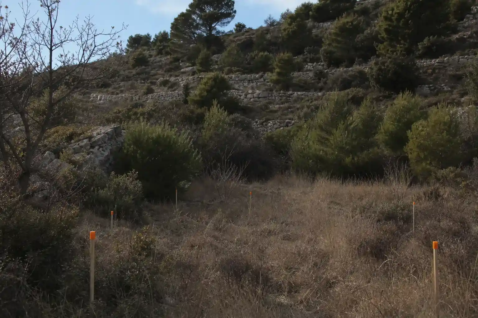 Terrain à bâtir borné sur un replat de colline, piquets de bornage visibles et végétation méditerranéenne alentour